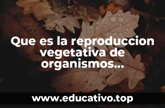 Que es la reproduccion vegetativa de organismos pluricelulares en biologia