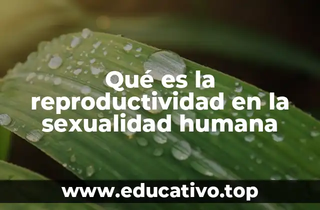 Qué es la reproductividad en la sexualidad humana
