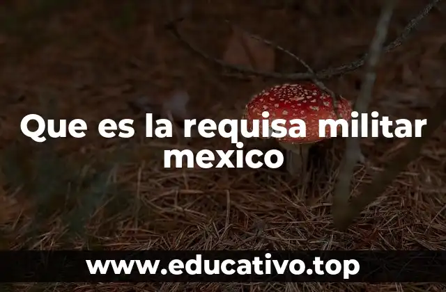 El papel del Ejército en la seguridad pública de México