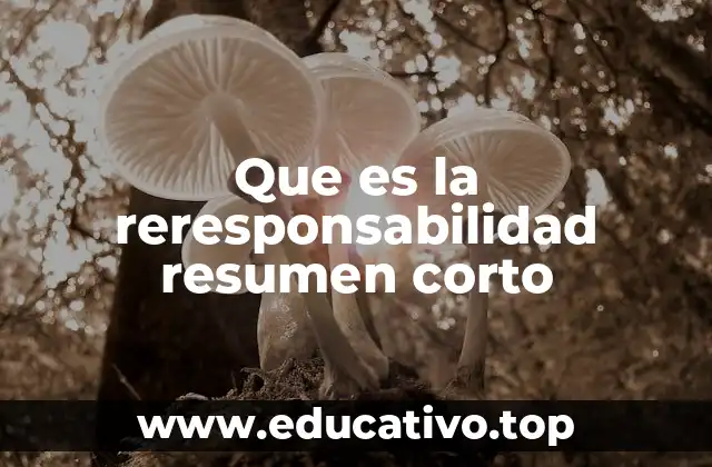 Que es la reresponsabilidad resumen corto