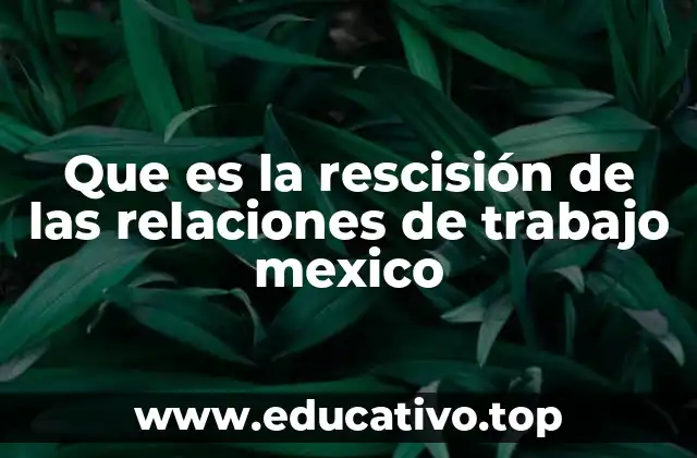 Que es la rescisión de las relaciones de trabajo mexico