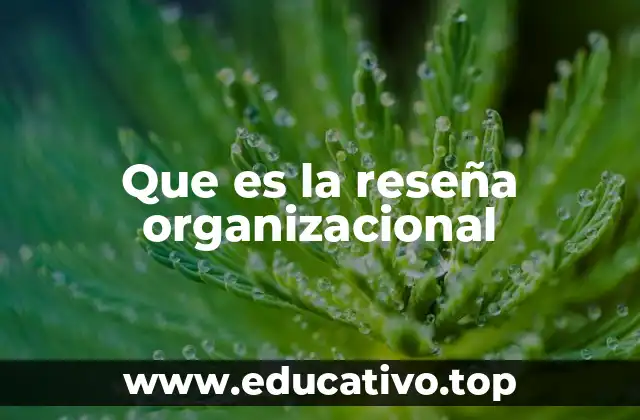 Que es la reseña organizacional