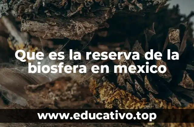 Que es la reserva de la biosfera en mexico