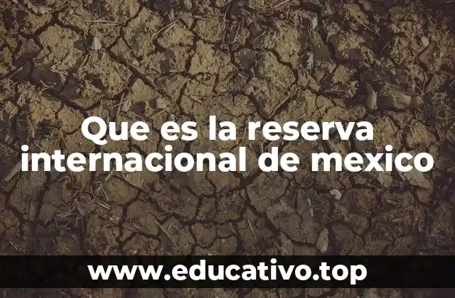 Que es la reserva internacional de mexico