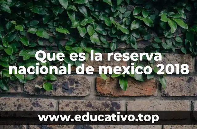 Que es la reserva nacional de mexico 2018