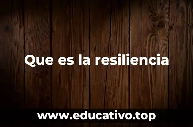 Que es la resiliencia