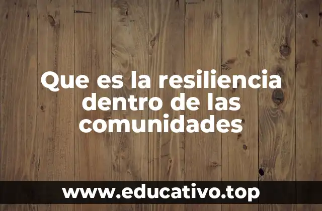 Que es la resiliencia dentro de las comunidades