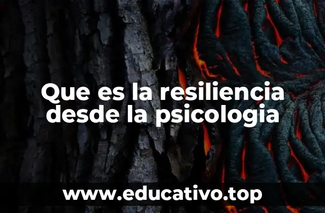 Que es la resiliencia desde la psicologia