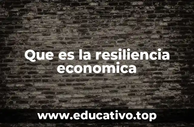 Que es la resiliencia economica