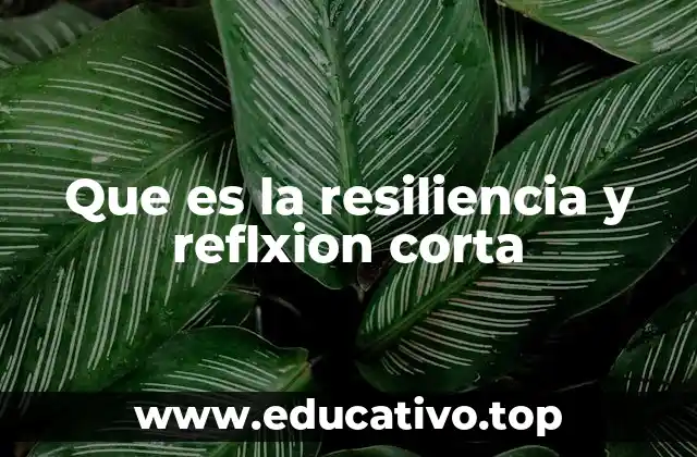 Que es la resiliencia y reflxion corta