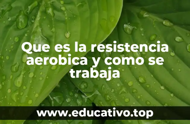 Que es la resistencia aerobica y como se trabaja