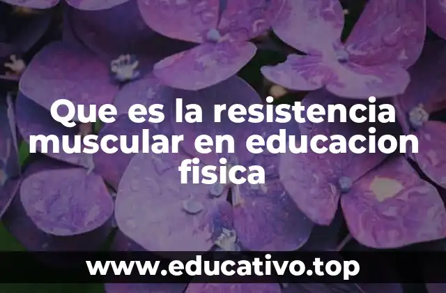 Que es la resistencia muscular en educacion fisica