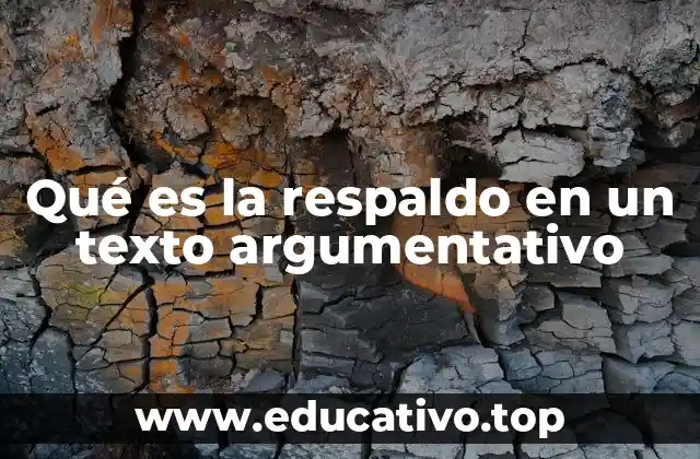 Qué es la respaldo en un texto argumentativo
