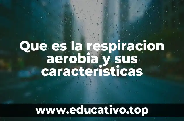 Que es la respiracion aerobia y sus caracteristicas