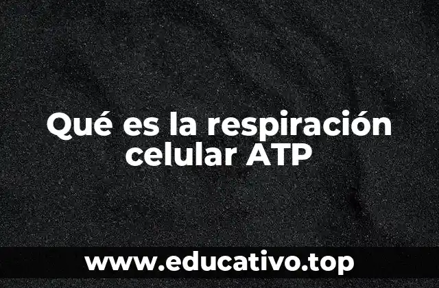 Qué es la respiración celular ATP