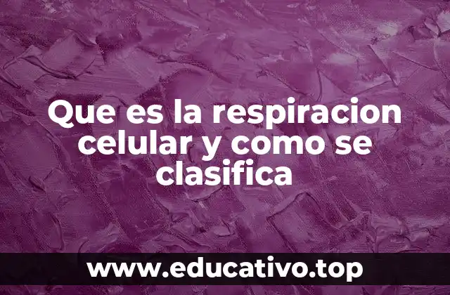 Que es la respiracion celular y como se clasifica