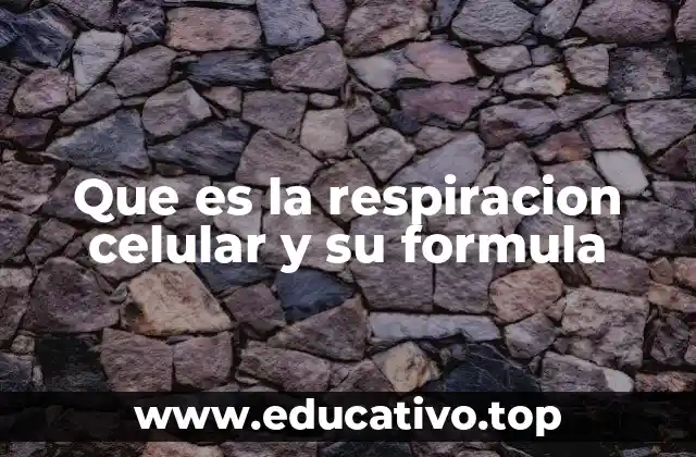Que es la respiracion celular y su formula