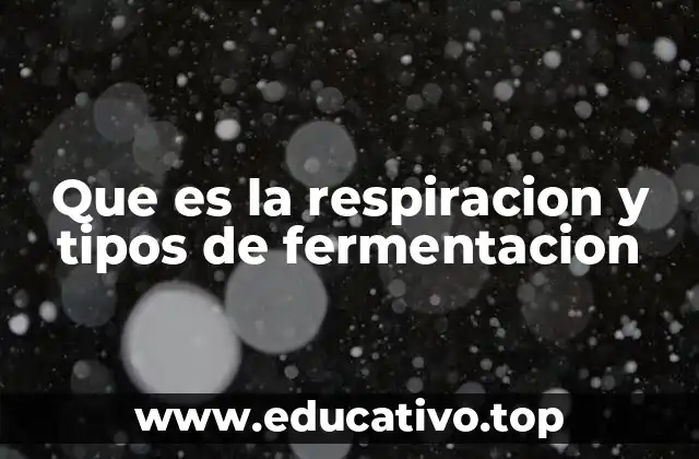 Que es la respiracion y tipos de fermentacion