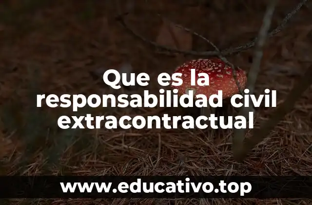 Que es la responsabilidad civil extracontractual