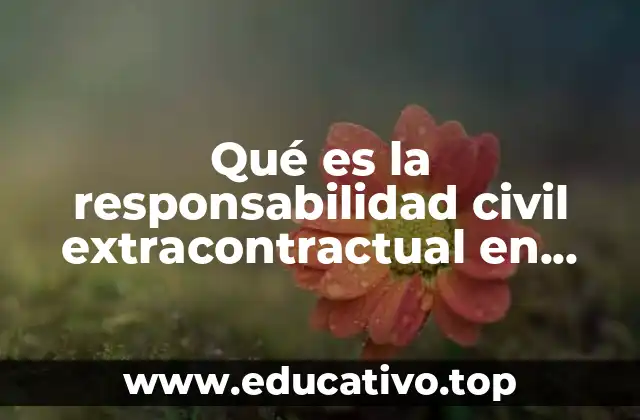 El papel de la responsabilidad civil en la sociedad colombiana