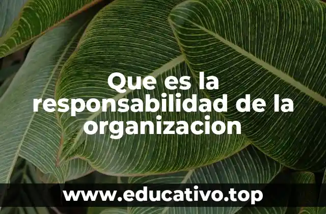 Que es la responsabilidad de la organizacion