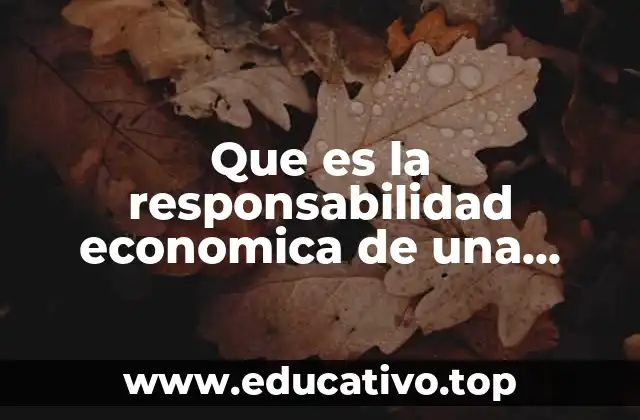 Que es la responsabilidad economica de una auditoria