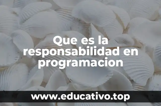 La ética del programador y su rol en la responsabilidad