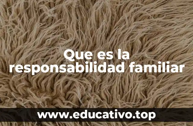 Que es la responsabilidad familiar