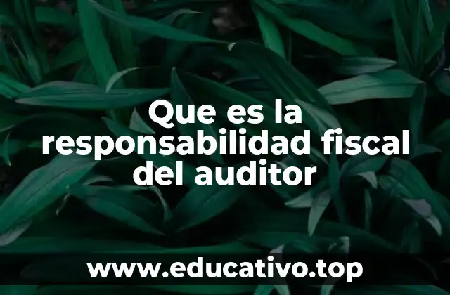Que es la responsabilidad fiscal del auditor