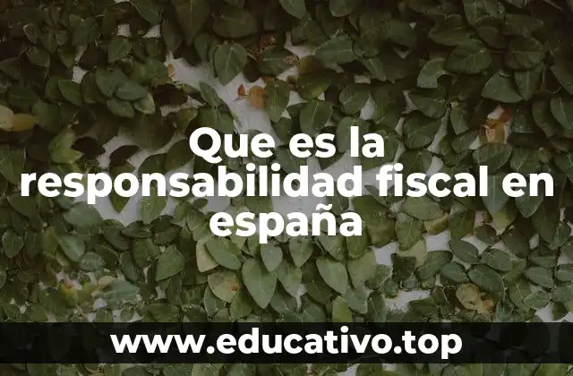 Que es la responsabilidad fiscal en españa