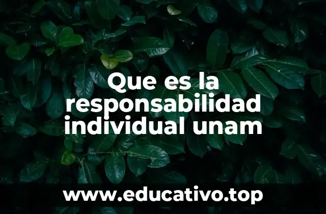Que es la responsabilidad individual unam