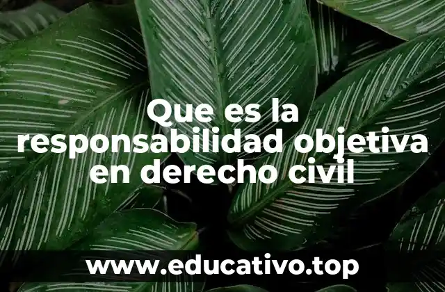 Que es la responsabilidad objetiva en derecho civil