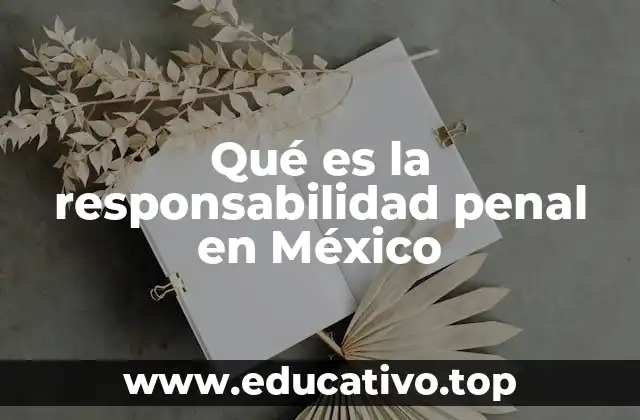 Qué es la responsabilidad penal en México
