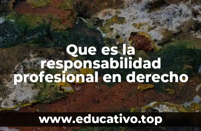 Que es la responsabilidad profesional en derecho