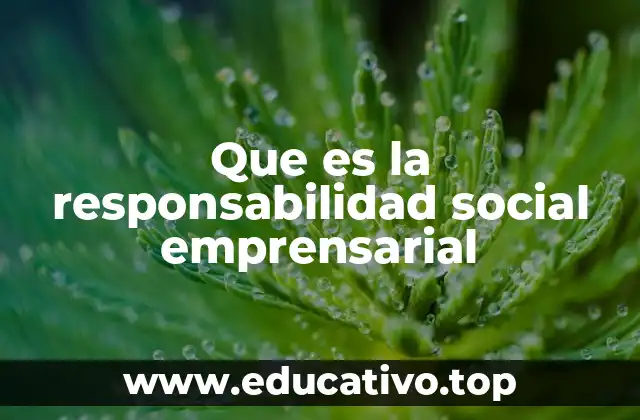 Que es la responsabilidad social emprensarial