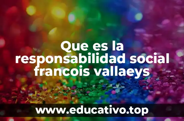 Que es la responsabilidad social francois vallaeys