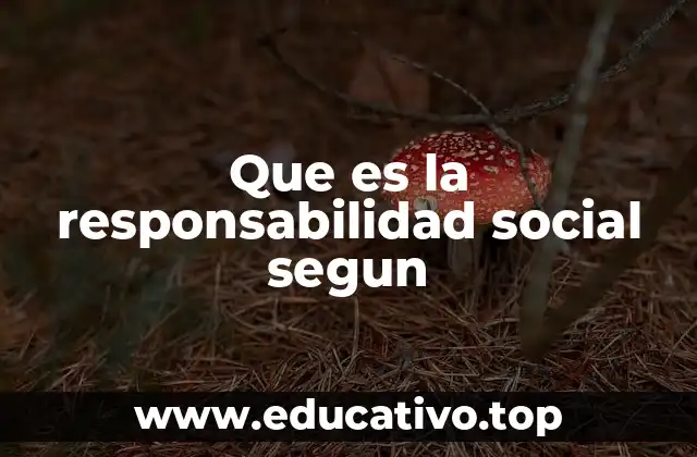 Que es la responsabilidad social segun