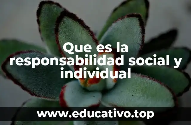Que es la responsabilidad social y individual