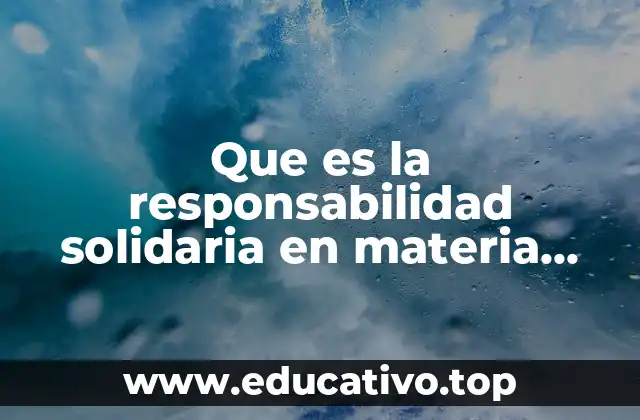 Que es la responsabilidad solidaria en materia mercantil