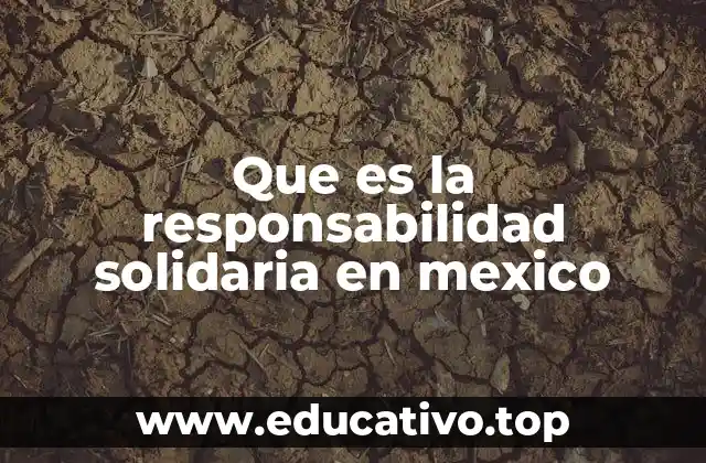 Que es la responsabilidad solidaria en mexico