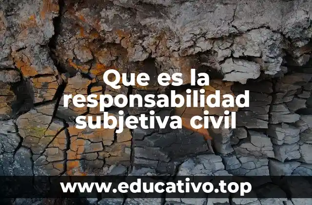 Que es la responsabilidad subjetiva civil