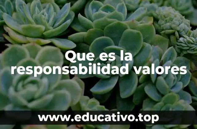 Que es la responsabilidad valores