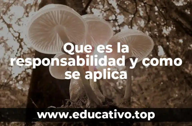Que es la responsabilidad y como se aplica