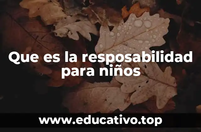 Que es la resposabilidad para niños