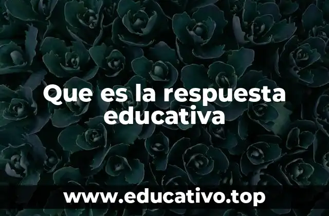 Que es la respuesta educativa