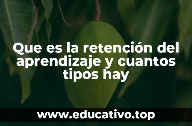Que es la retención del aprendizaje y cuantos tipos hay
