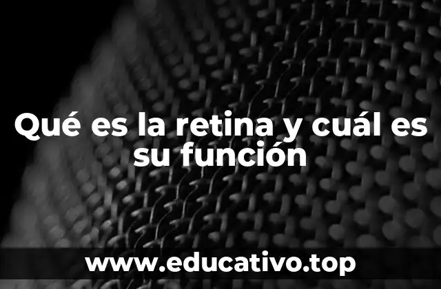 Qué es la retina y cuál es su función