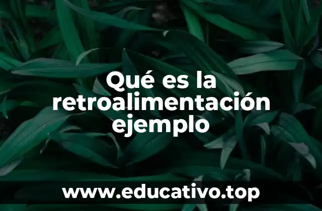 Qué es la retroalimentación ejemplo