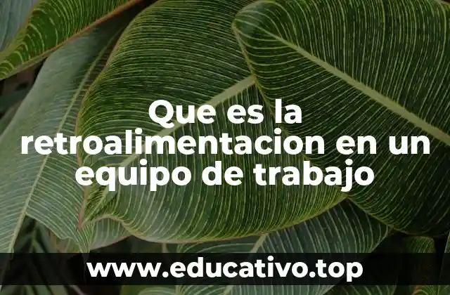 Que es la retroalimentacion en un equipo de trabajo