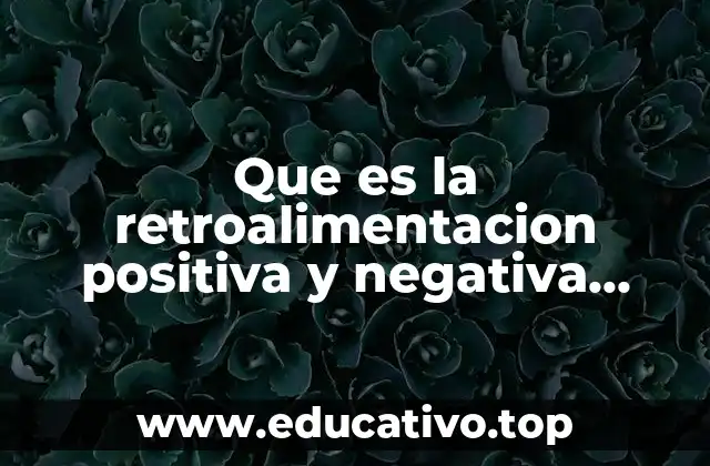 Que es la retroalimentacion positiva y negativa sistema endocrino